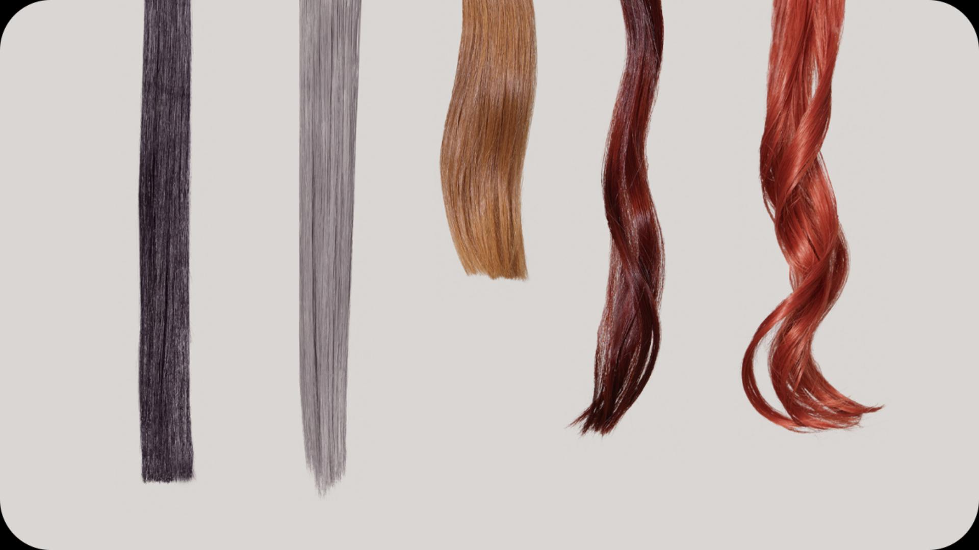 Tresses of naturally straight to wavy hair in varying colours hanging on a line in a lab