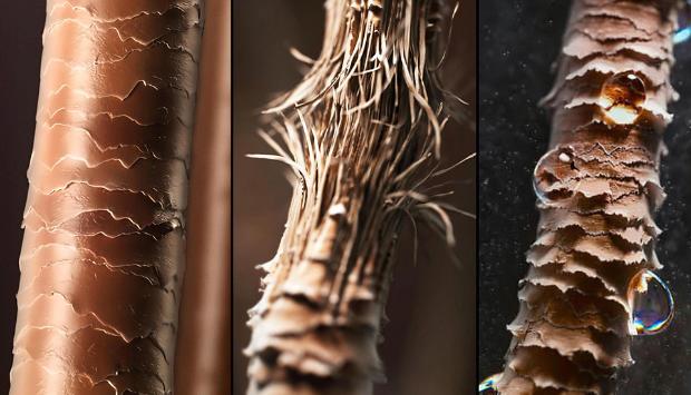 Dyson air quality backpacks track exposure of Australian children to air pollution in first case study of its kind