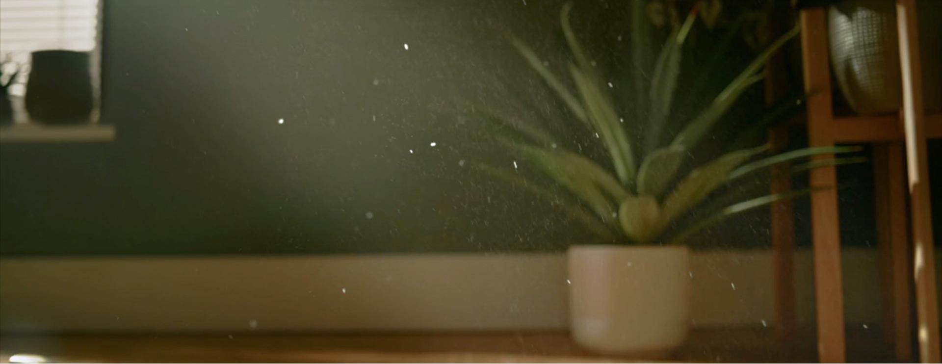 Airborne particles in a home.