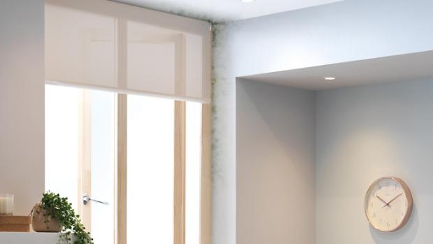 Mould around a window space.