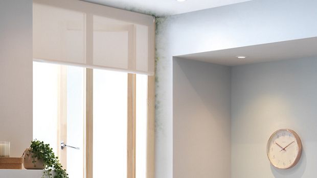 Mould around a window space.