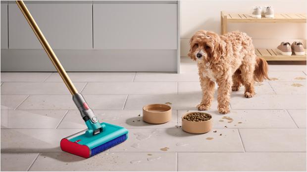Dog with mess around dog bowls with