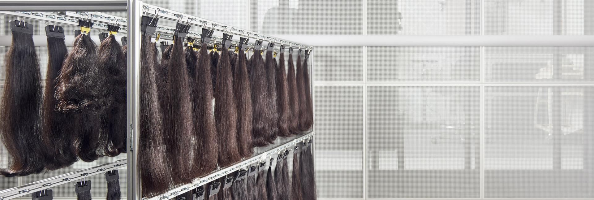 صَف من عينات الشعر في أحد المختبرات العلمية