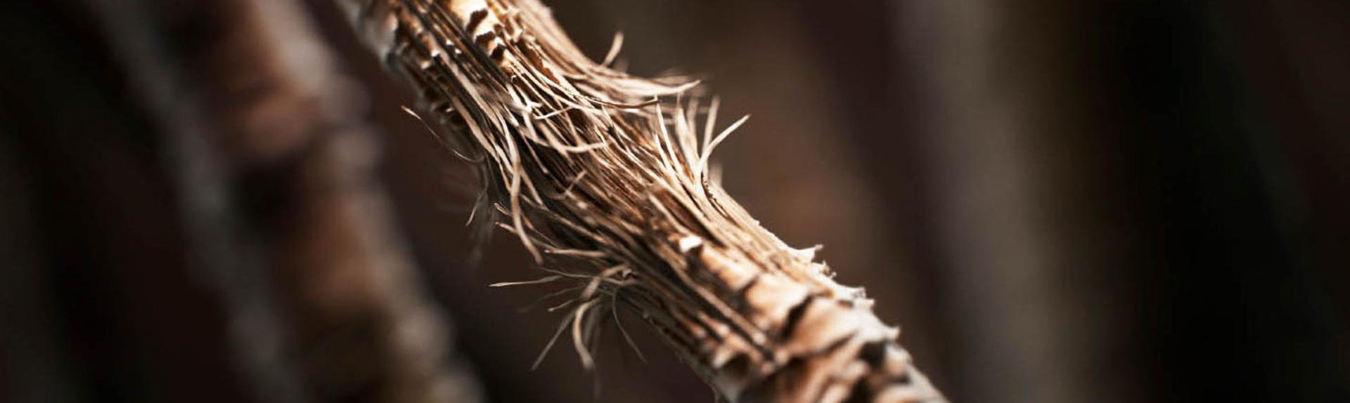 شاهدي كيفية حماية الشعر من التقصف