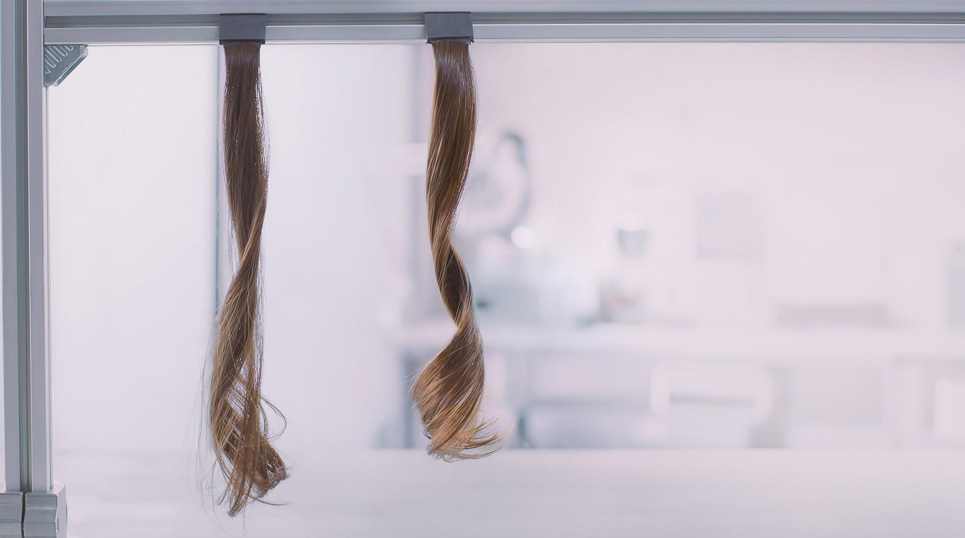 Trenzas de cabello rizado colgadas en el laboratorio científico