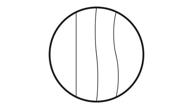 Line drawing of type 1 hair