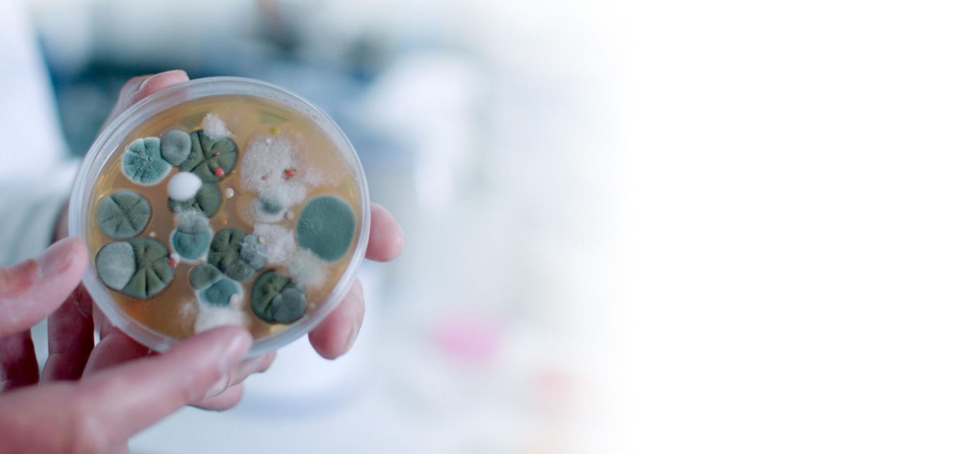 Luăm foarte în serios importanța curățeniei