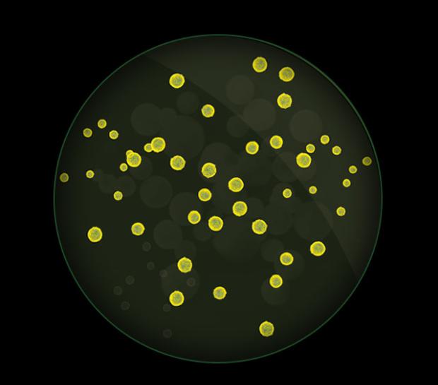 Particulate emissions