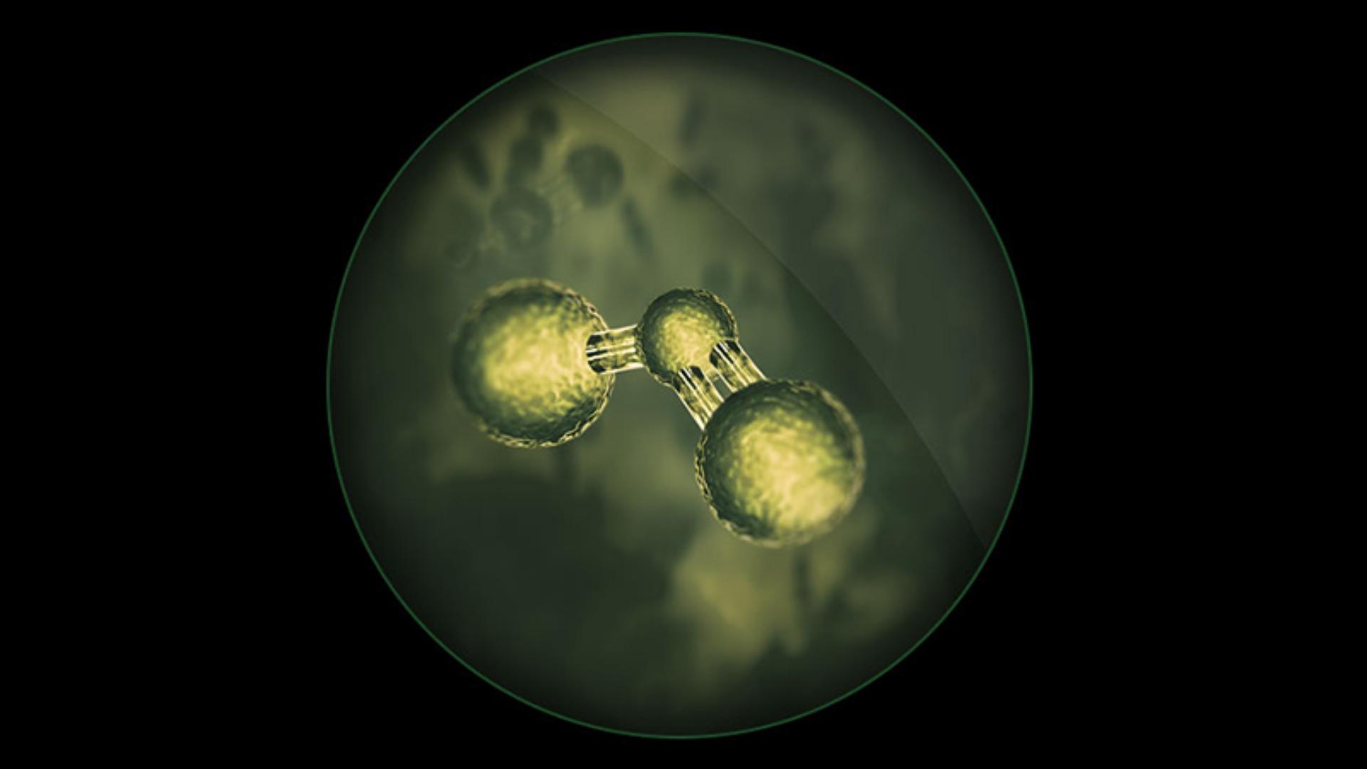 Slāpekļa dioksīds