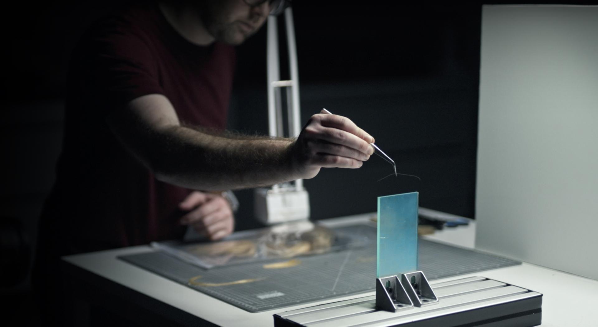 Domácí mazlíček spící na pohovce pokryté zvířecími chlupy