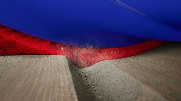 마룻바닥에서 먼지와 털을 딥 클리닝 중인 다이슨 클리너 헤드