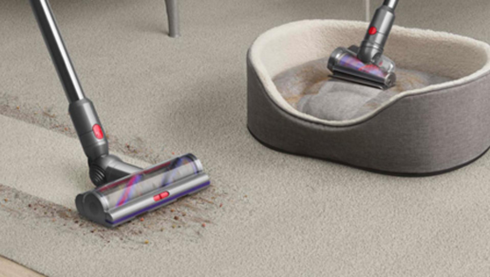 Dyson Hair screw tool cleans a pet bed, and a Motorbar cleaner head clears hair from a carpet