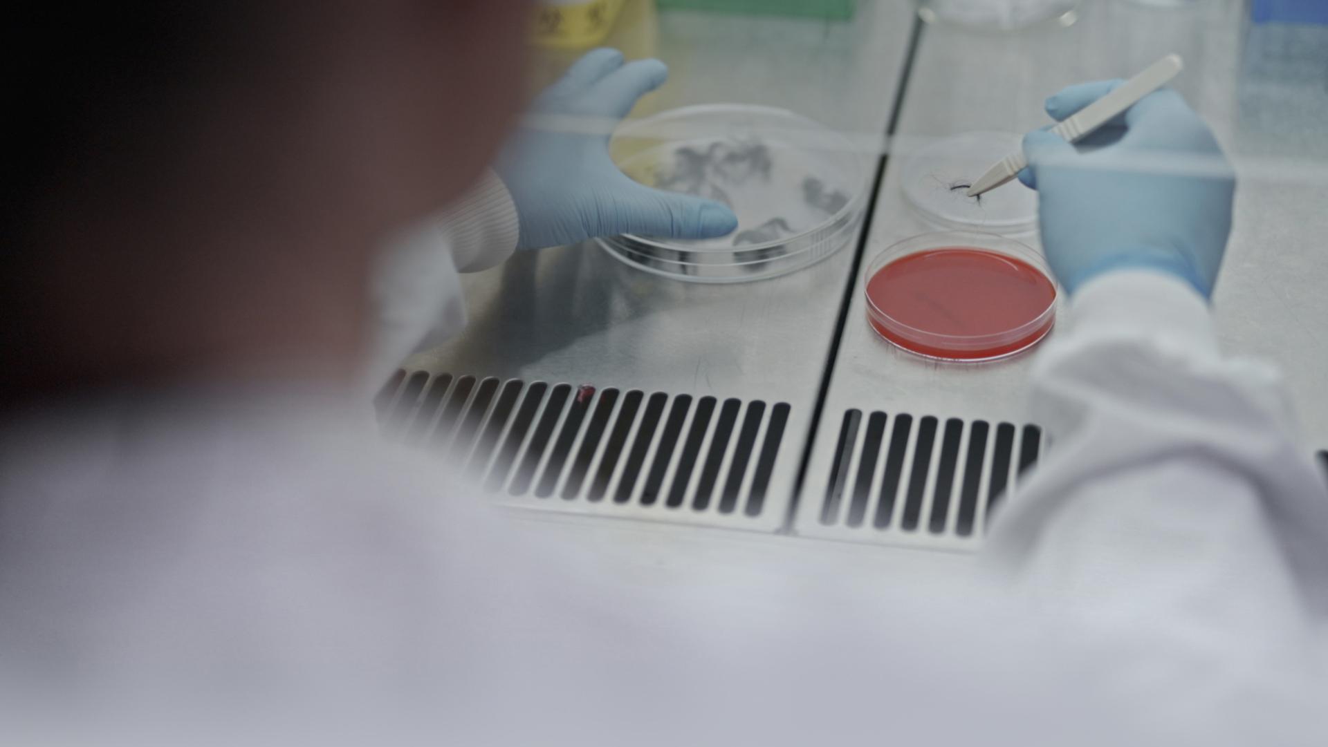 Mikrobiologové Dyson studují mikroskopické částice