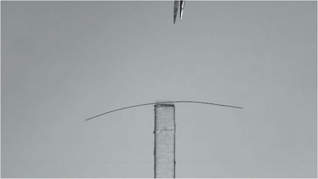 Strand of pet hair being analysed in a Dyson laboratory