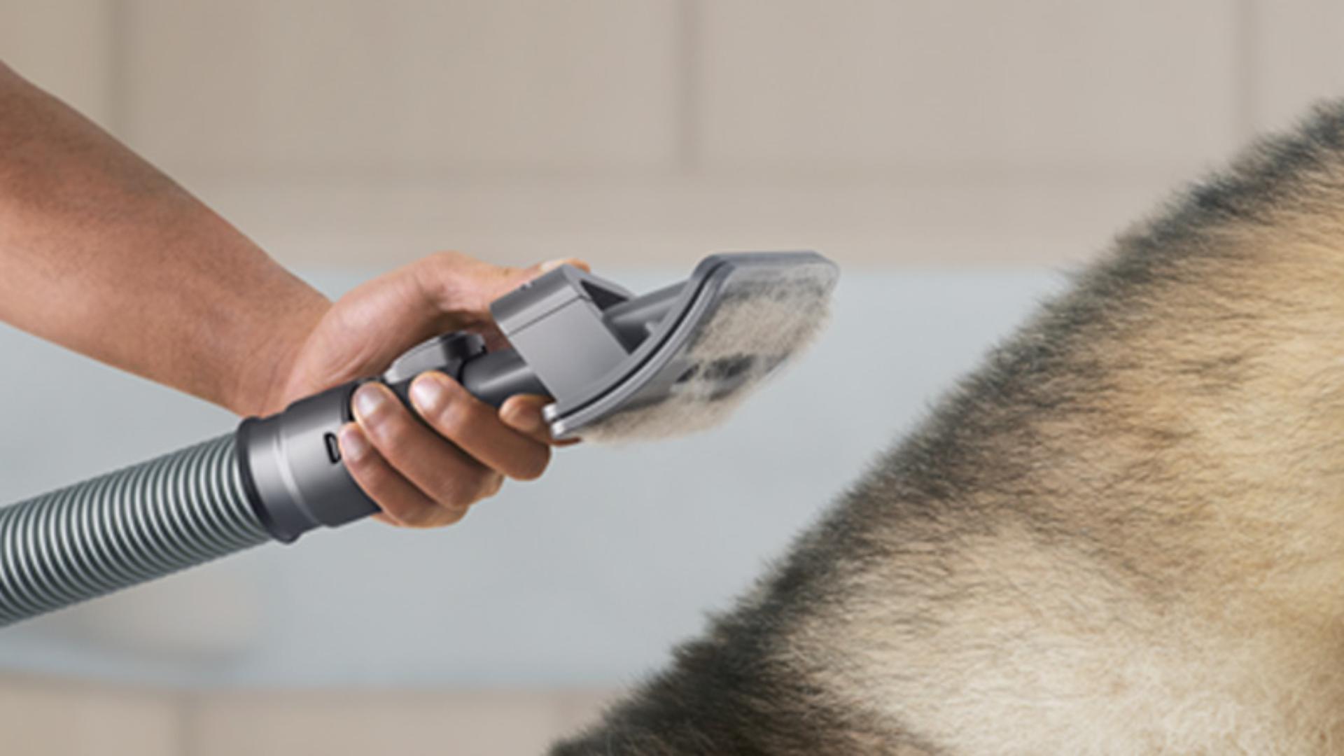 The angled bristles on the pet groom tool