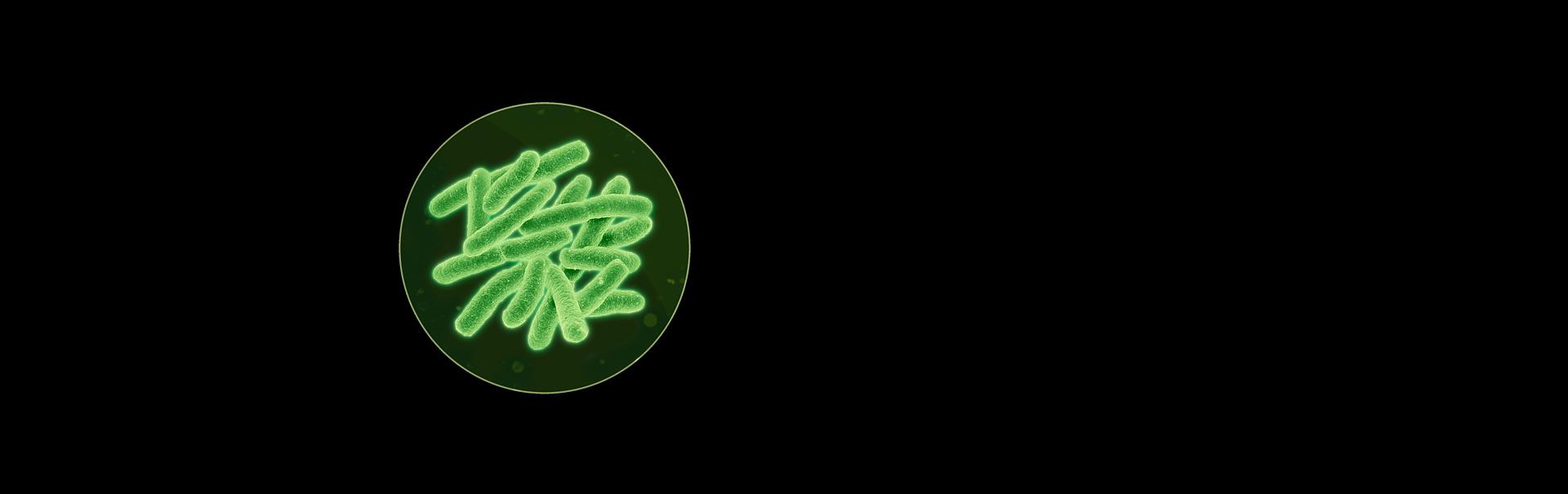 Imagine cu bacterii la microscop