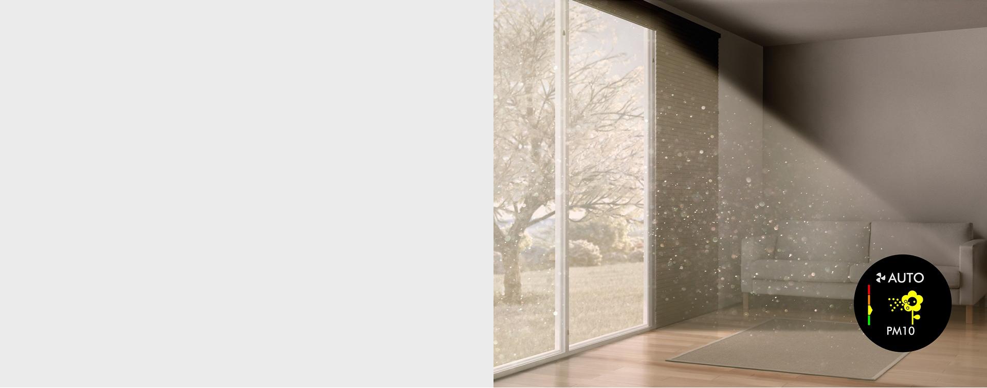 Light through a window reveals dust particles suspended in the air.