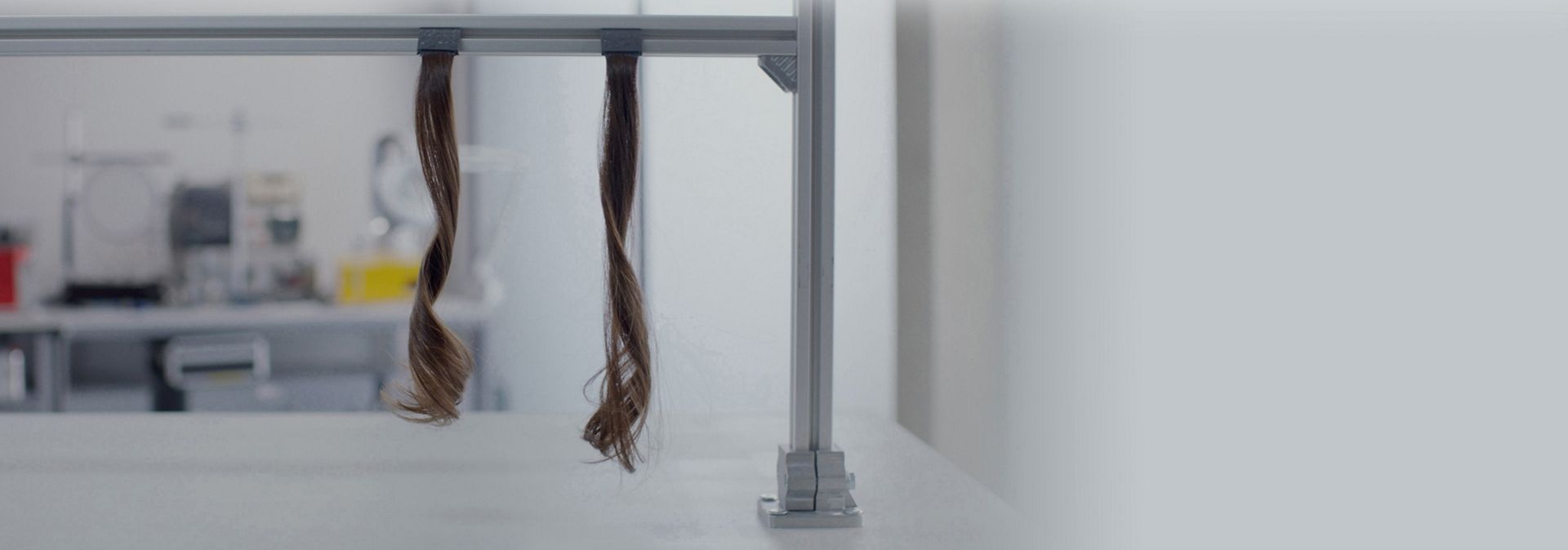 Two sections of hair hang up in a Dyson lab.