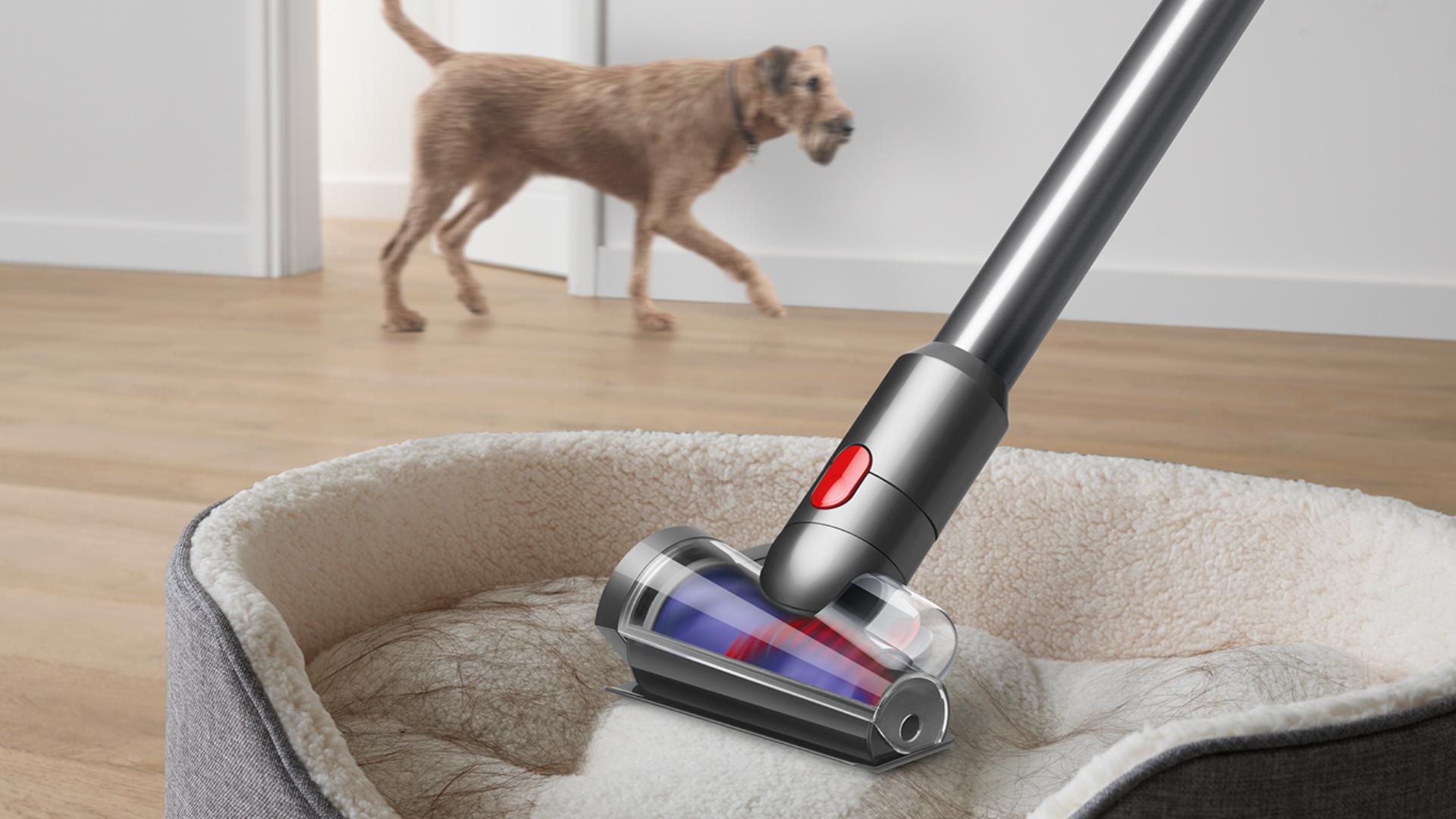 Hair screw tool cleaning a pet bed as a dog wanders past.