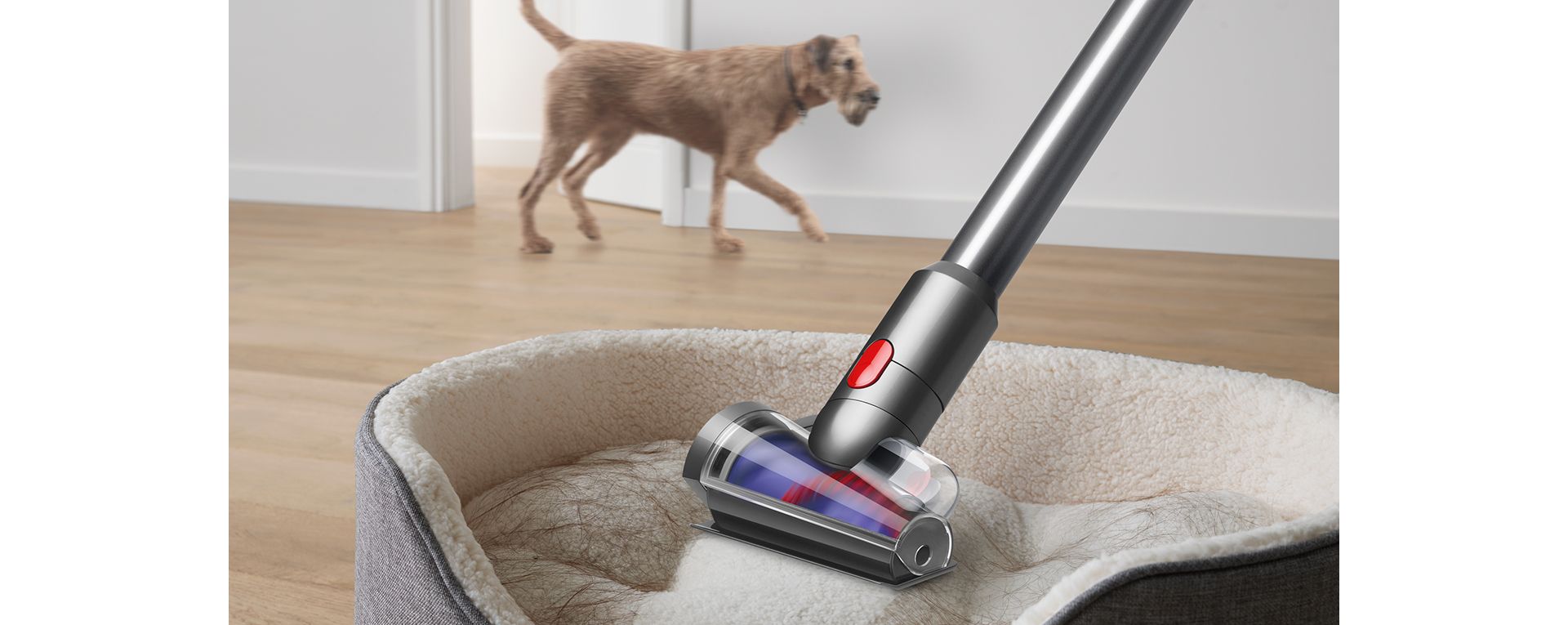 Hair screw tool cleaning a pet bed as a dog wanders past.