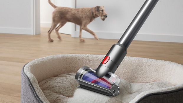 Hair screw tool cleaning a pet bed as a dog wanders past.