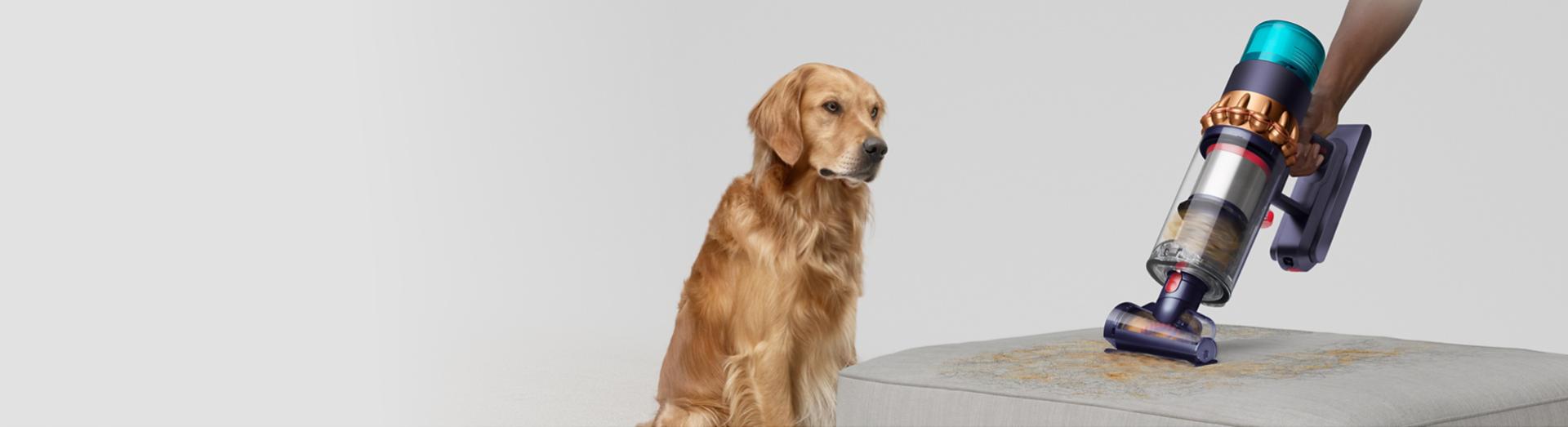 Dyson Gen5detect vacuum cleaning upholstery in handheld mode with the Hair screw tool attached.