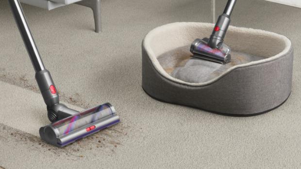 A carpet and dog bed being cleaned with the Dyson V12 Detect Slim vacuum and Hair screw tool.