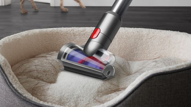 A carpet and dog bed being cleaned with the Dyson V12 Detect Slim vacuum and Hair screw tool.