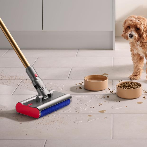 The Dyson V12s Detect Slim Submarine cleans the floor of a kitchen with a dog and dog food bowls in the background.