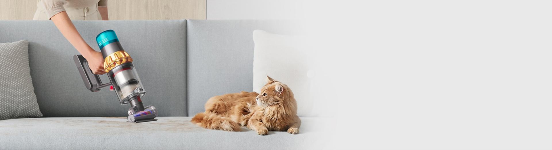 أداة لف الشعر من دايسون بينما تقوم بإزالة الشعر من الأقمشة.