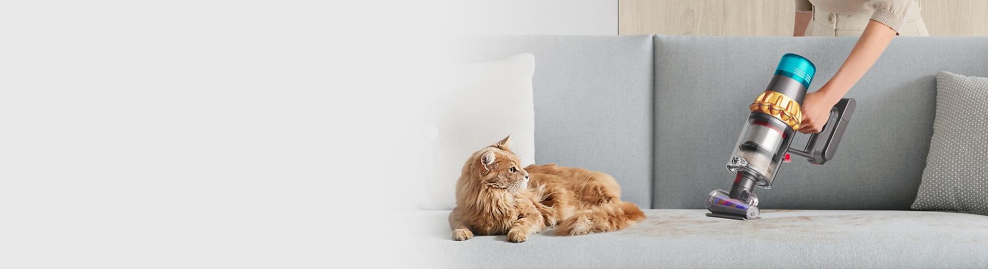 Dyson Hair screw tool removing hair from fabric.