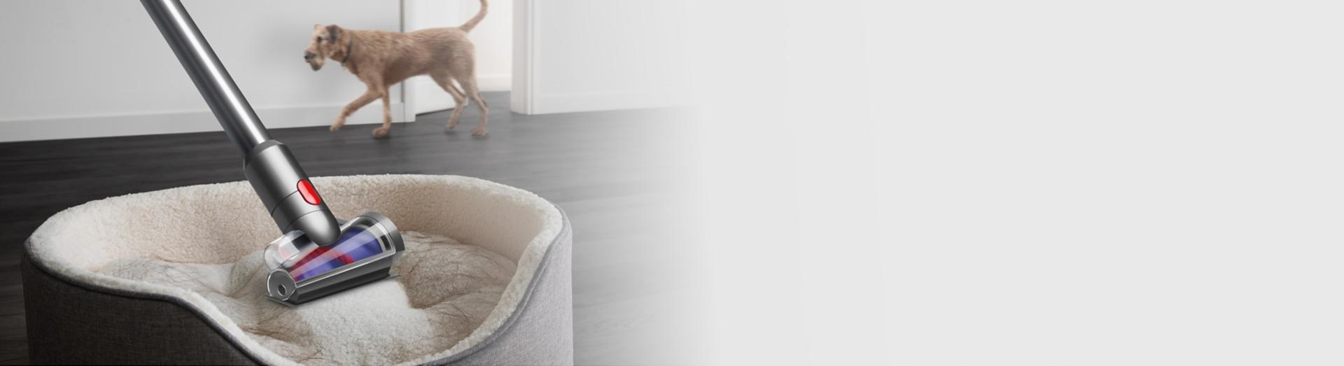 أداة لف الشعر من دايسون بينما تقوم بإزالة الشعر من الأقمشة.