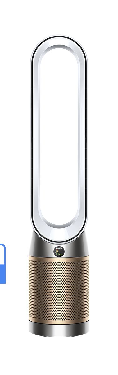 Dyson TP09
