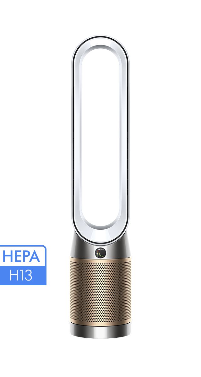 Dyson TP09