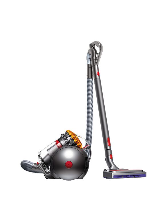 Dyson Big Ball Allergy 2