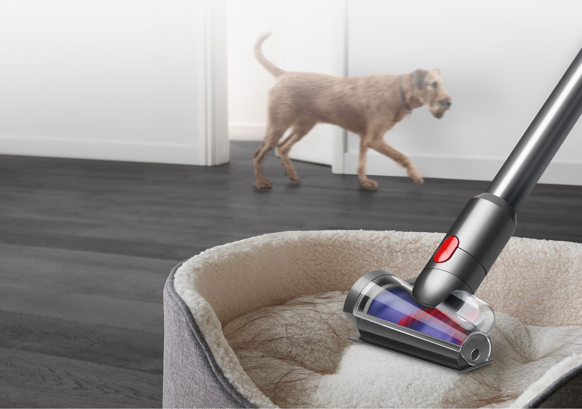 Hair screw  tool in action on dog bed