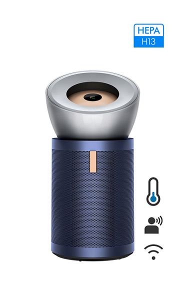 Dyson BP03