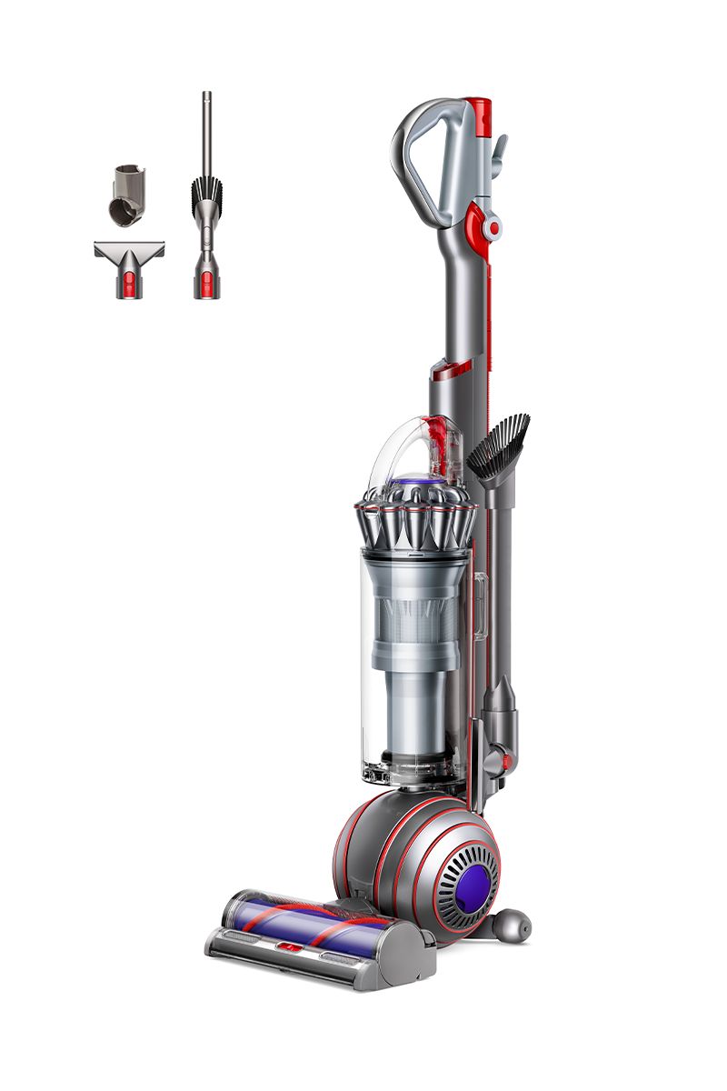 Dyson Ball Animal Origin Upright Vacuum | Dyson New Zealand
