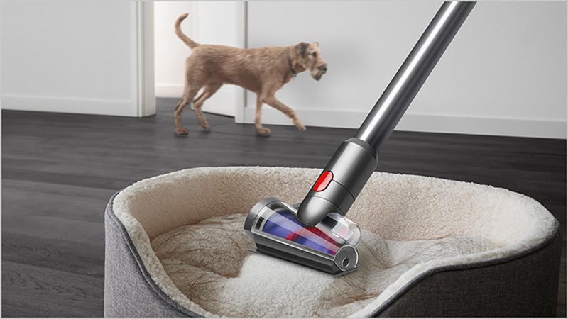 Dog hair 2025 attachment dyson