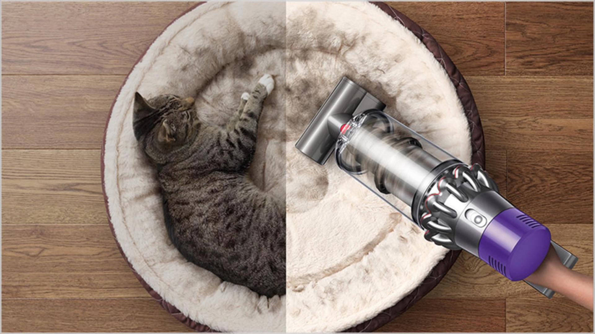 Dyson vacuum being used on pet bed
