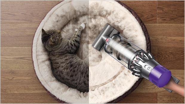 Dyson vacuum being used on pet bed