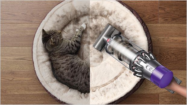 Dyson vacuum being used on pet bed