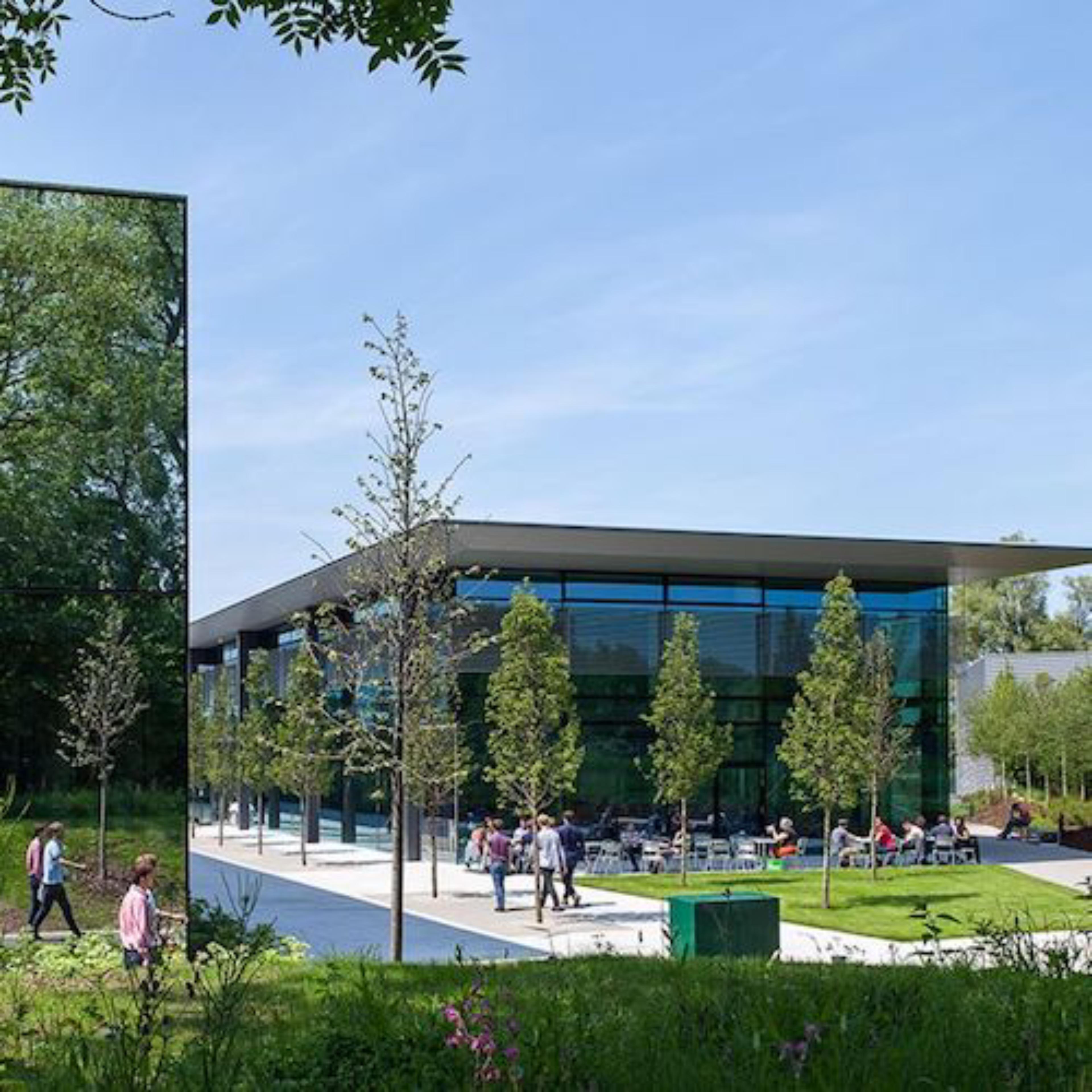 dyson turkiye resmi web sitesi magaza
