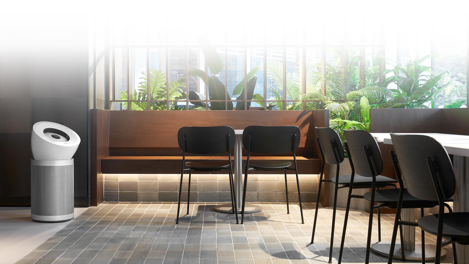 Dyson Airblade V and a row of Dyson Supersonic Professionals situated in The Well's bathroom