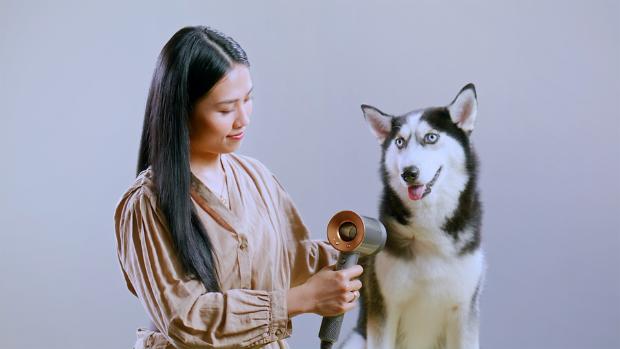 Thermal image of cooler airflow from the Genle air attachment