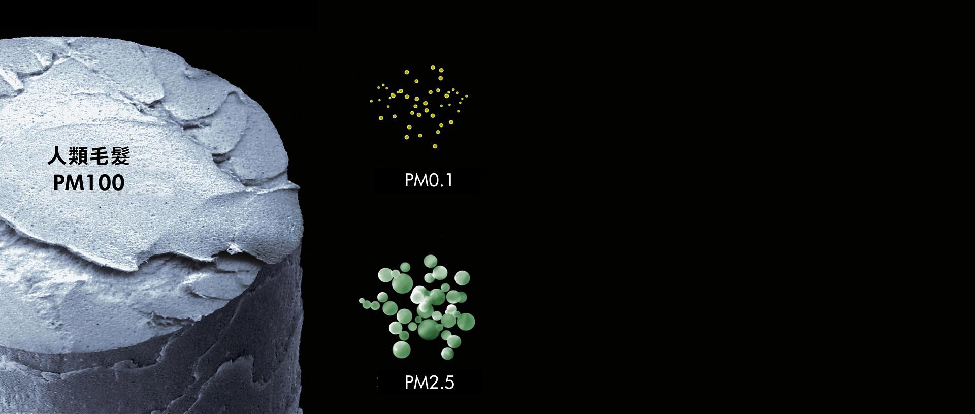 Image of magnified human hair and gas particles
