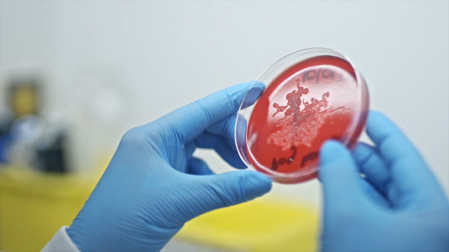 Microbiologistes de Dyson qui étudient des particules microscopiques.