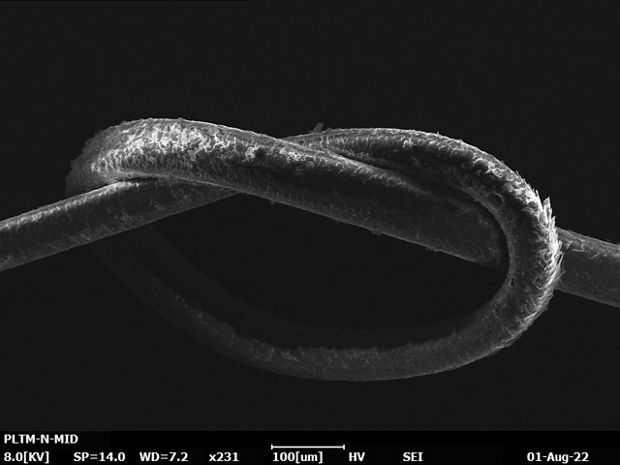 zdjęcie mikroskopowe włosa