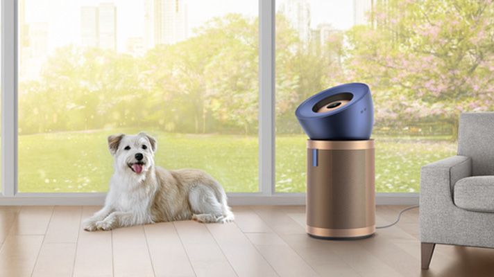 Home with pets | Advanced purification​ | Dyson SG