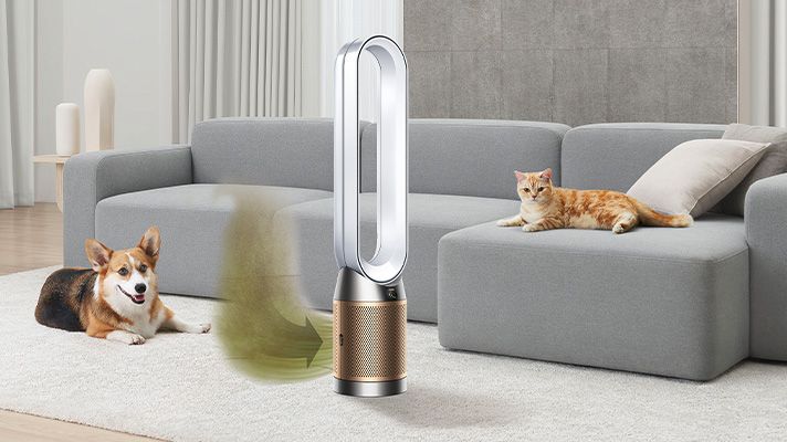 Home with pets | Advanced purification​ | Dyson SG
